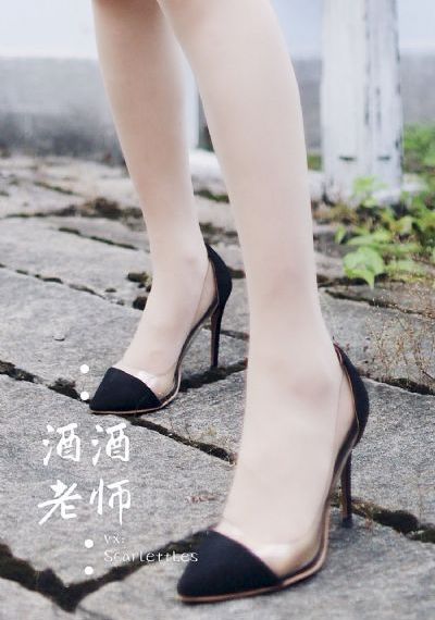 这是我的岛综艺免费观看