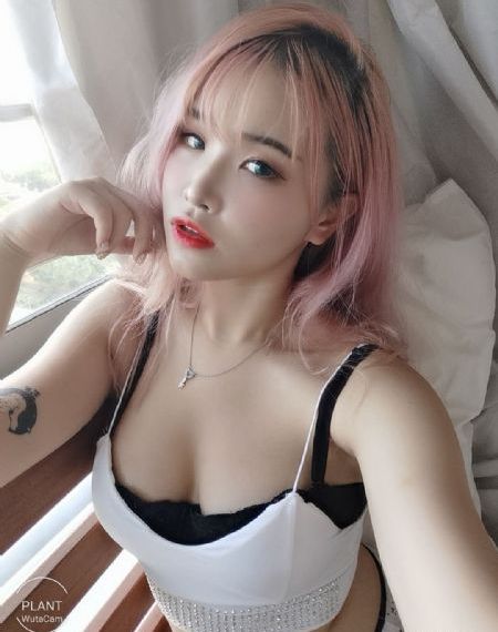河豚在线观看