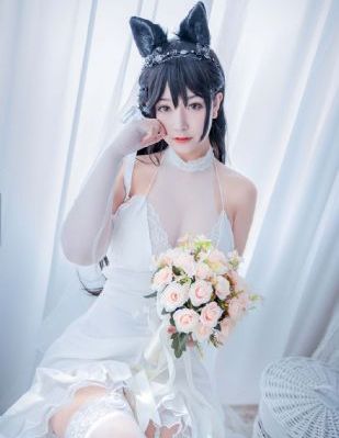色黄视频网站