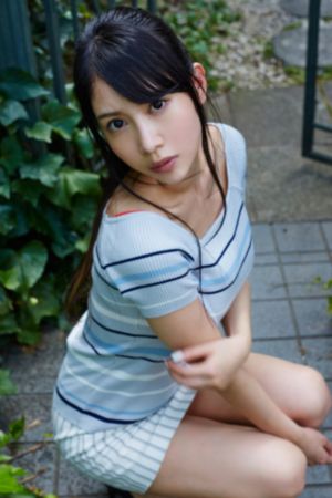 翡翠波斯猫