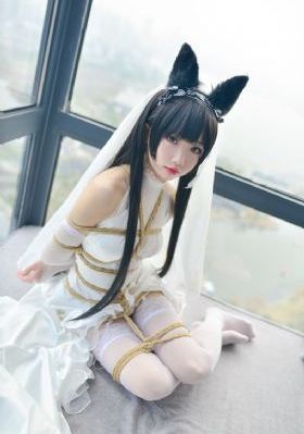 回复术士的重来人生在线播放